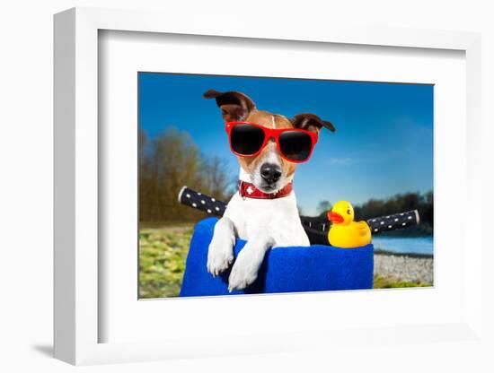 Summer Dog on Bike-Javier Brosch-Framed Photographic Print