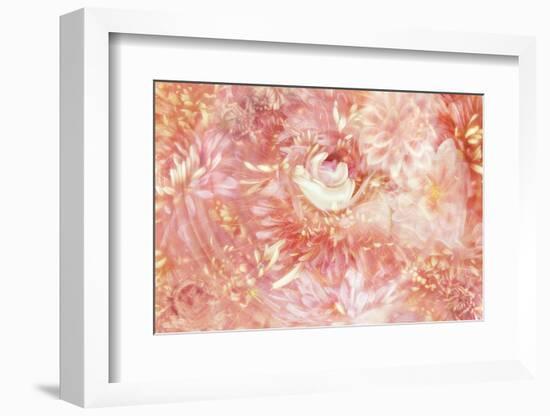 Summer dream-Heidi Westum-Framed Photographic Print