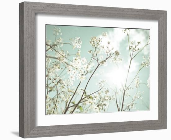 Summer Dreams-Assaf Frank-Framed Giclee Print