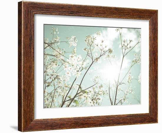 Summer Dreams-Assaf Frank-Framed Giclee Print