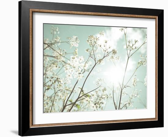 Summer Dreams-Assaf Frank-Framed Giclee Print