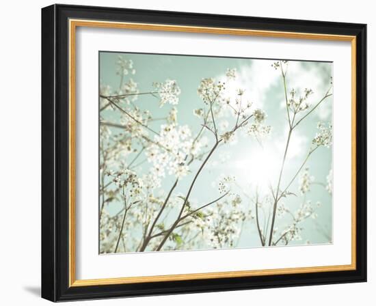 Summer Dreams-Assaf Frank-Framed Giclee Print