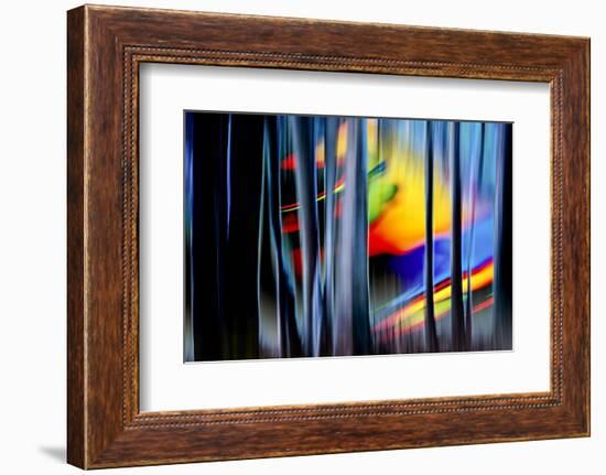 Summer Dreams-Ursula Abresch-Framed Photographic Print