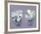 Summer Duo-Charlotte Hardy-Framed Giclee Print