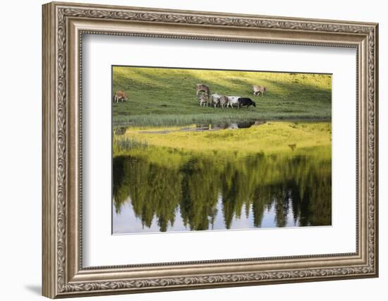 Summer Evening at Arosa-Armin Mathis-Framed Photographic Print