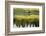 Summer Evening at Arosa-Armin Mathis-Framed Photographic Print