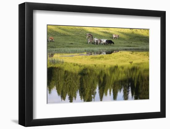 Summer Evening at Arosa-Armin Mathis-Framed Photographic Print