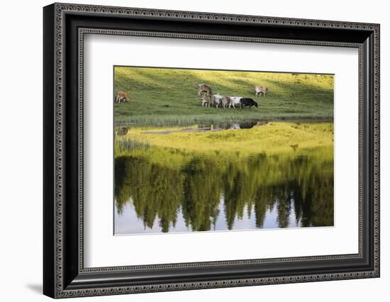 Summer Evening at Arosa-Armin Mathis-Framed Photographic Print