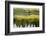 Summer Evening at Arosa-Armin Mathis-Framed Photographic Print