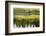 Summer Evening at Arosa-Armin Mathis-Framed Photographic Print