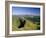 Summer Evening, Cantal, Massif Central, Auvergne, France, Europe-David Hughes-Framed Photographic Print