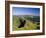 Summer Evening, Cantal, Massif Central, Auvergne, France, Europe-David Hughes-Framed Photographic Print