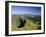 Summer Evening, Cantal, Massif Central, Auvergne, France, Europe-David Hughes-Framed Photographic Print