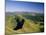 Summer Evening, Cantal, Massif Central, Auvergne, France, Europe-David Hughes-Mounted Photographic Print