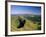 Summer Evening, Cantal, Massif Central, Auvergne, France, Europe-David Hughes-Framed Photographic Print