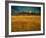 Summer Evening Near Arles-Vincent van Gogh-Framed Giclee Print