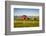 Summer Evening with a Red Barn and Silos in Rural Montana with Rocky Mountains in the Background.-Nick Fox-Framed Photographic Print