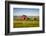 Summer Evening with a Red Barn and Silos in Rural Montana with Rocky Mountains in the Background.-Nick Fox-Framed Photographic Print