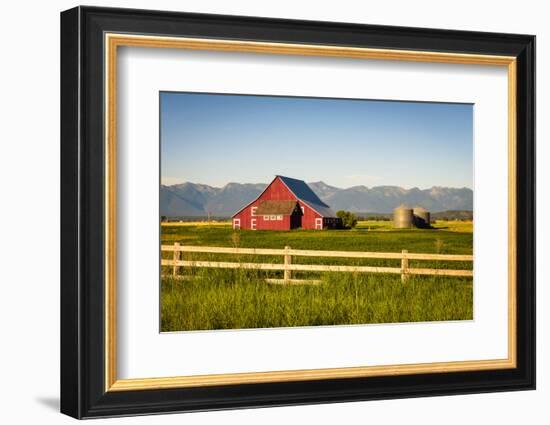 Summer Evening with a Red Barn and Silos in Rural Montana with Rocky Mountains in the Background.-Nick Fox-Framed Photographic Print