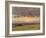 Summer Evening with Storm Clouds-John Constable-Framed Giclee Print