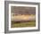 Summer Evening with Storm Clouds-John Constable-Framed Giclee Print