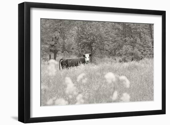 Summer Farm II BW-Sue Schlabach-Framed Premium Giclee Print