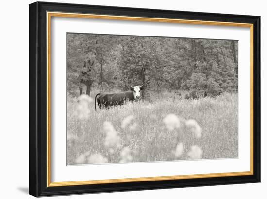 Summer Farm II BW-Sue Schlabach-Framed Premium Giclee Print