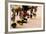 Summer Feast Day Celebration. Ohkay Owingeh Pueblo, New Mexico-Julien McRoberts-Framed Photographic Print