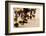 Summer Feast Day Celebration. Ohkay Owingeh Pueblo, New Mexico-Julien McRoberts-Framed Premium Photographic Print