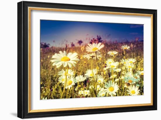 Summer Field with White Daisies. Dramatic Morning Scene. Ukraine, Europe. Beauty World. Retro Style-Leonid Tit-Framed Photographic Print