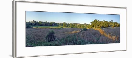 Summer fields in municipality of Pals, Costa Brava, Girona Province, Catalonia, Spain-null-Framed Photographic Print