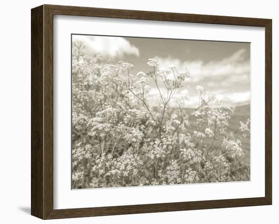 Summer Fields - Neutral-Assaf Frank-Framed Giclee Print