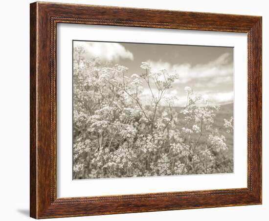 Summer Fields - Neutral-Assaf Frank-Framed Giclee Print