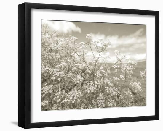 Summer Fields - Neutral-Assaf Frank-Framed Giclee Print