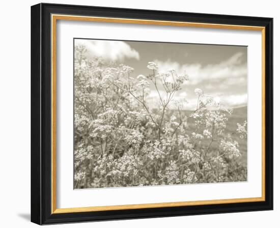 Summer Fields - Neutral-Assaf Frank-Framed Giclee Print