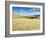 Summer Fields, Thorverton, Devon, England, United Kingdom, Europe-Jeremy Lightfoot-Framed Photographic Print