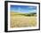 Summer Fields, Thorverton, Devon, England, United Kingdom, Europe-Jeremy Lightfoot-Framed Photographic Print