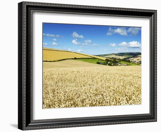 Summer Fields, Thorverton, Devon, England, United Kingdom, Europe-Jeremy Lightfoot-Framed Photographic Print