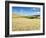 Summer Fields, Thorverton, Devon, England, United Kingdom, Europe-Jeremy Lightfoot-Framed Photographic Print