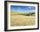 Summer Fields, Thorverton, Devon, England, United Kingdom, Europe-Jeremy Lightfoot-Framed Photographic Print