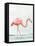 Summer Flamingo I-Lily K-Framed Stretched Canvas