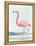 Summer Flamingo II-Lily K-Framed Stretched Canvas