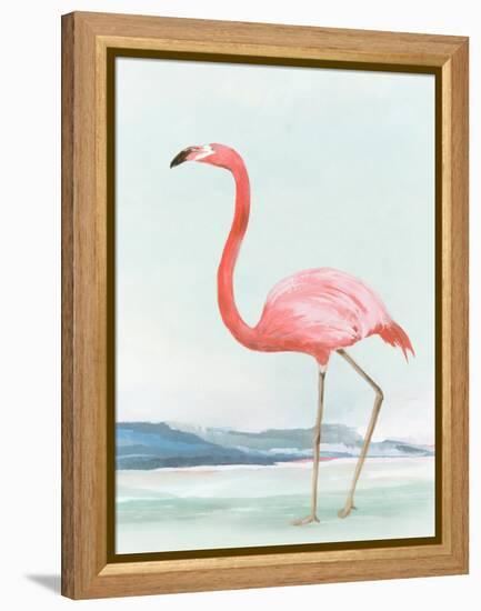 Summer Flamingo II-Lily K-Framed Stretched Canvas