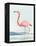 Summer Flamingo II-Lily K-Framed Stretched Canvas