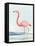 Summer Flamingo II-Lily K-Framed Stretched Canvas