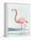 Summer Flamingo II-Lily K-Framed Stretched Canvas