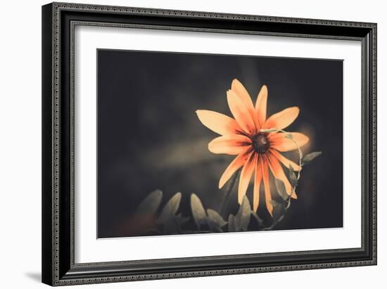 Summer Flower-Alexey Rumyantsev-Framed Photographic Print