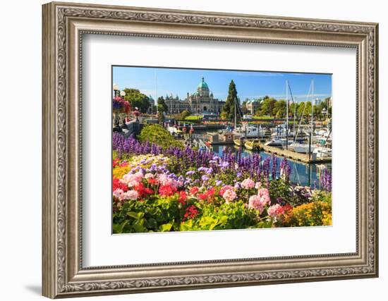 Summer flowers at Inner Harbour, Victoria, British Columbia, Canada-Stuart Westmorland-Framed Photographic Print