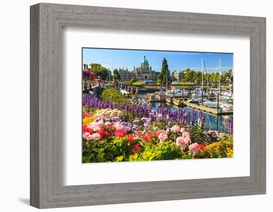 Summer flowers at Inner Harbour, Victoria, British Columbia, Canada-Stuart Westmorland-Framed Photographic Print