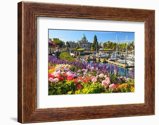 Summer flowers at Inner Harbour, Victoria, British Columbia, Canada-Stuart Westmorland-Framed Photographic Print